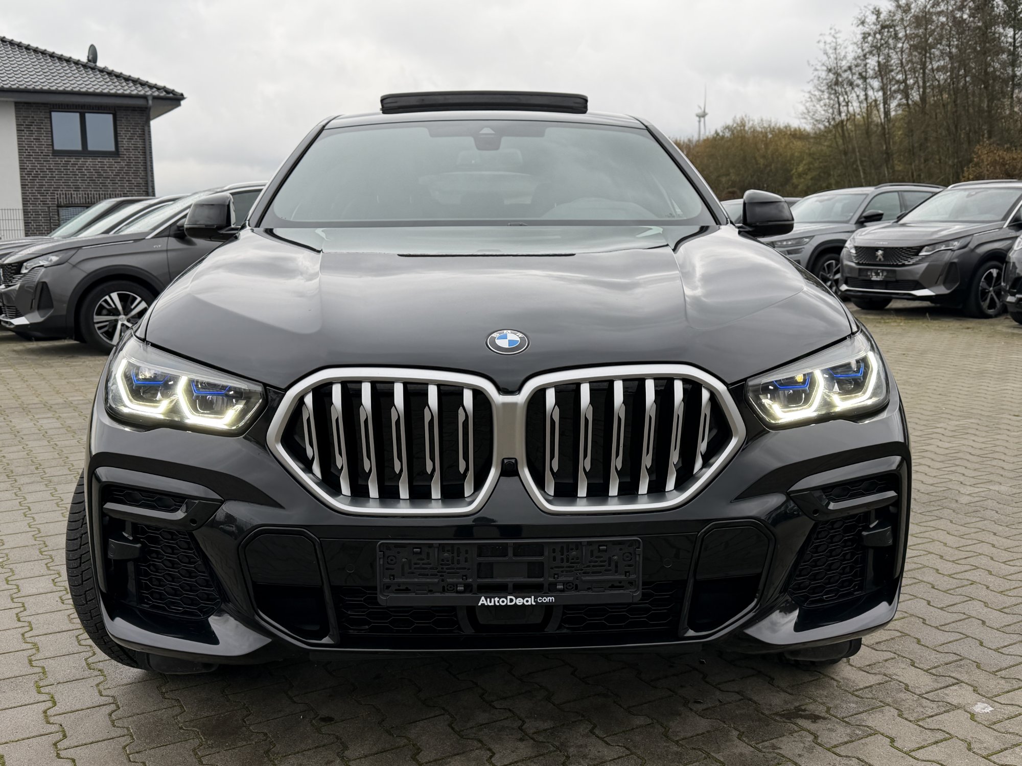 2023 BMW X6   AWD