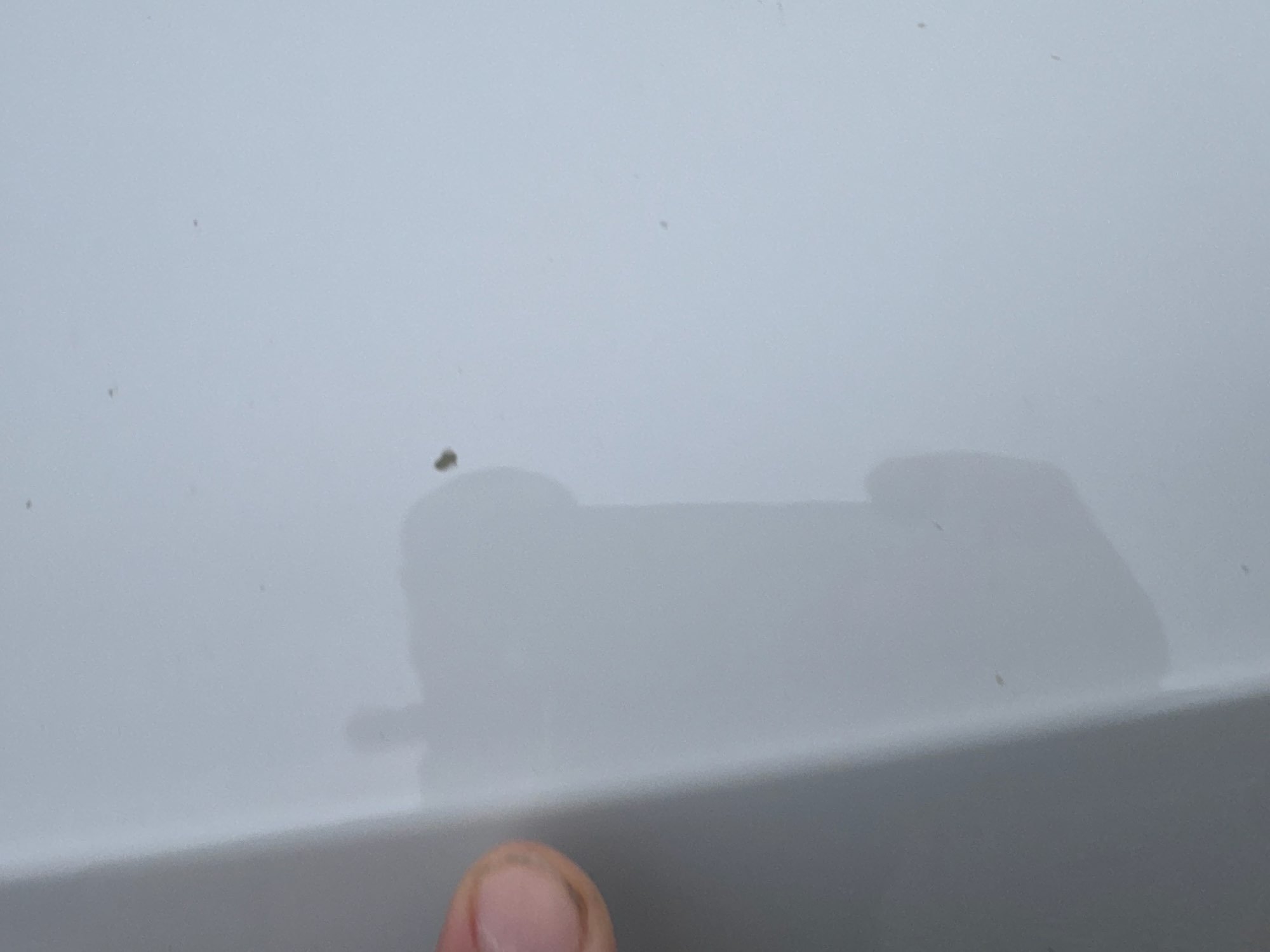 2021 Volkswagen Tiguan   AWD