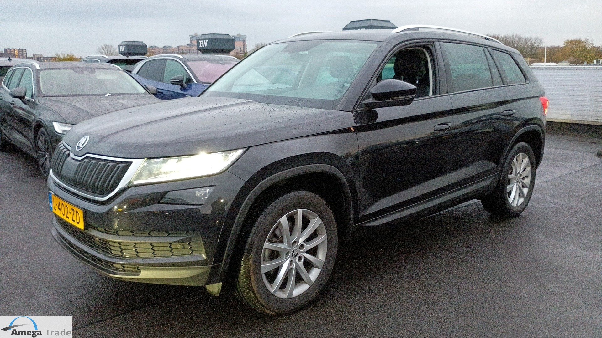 Skoda Kodiaq 1.5 TSI Business - Petrol - Automatic - 150 hp - 154.005 km