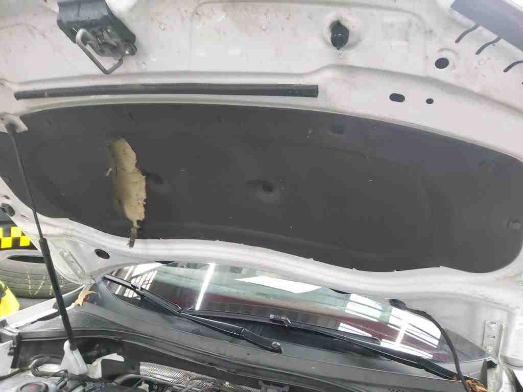 2021 Volkswagen Tiguan   AWD