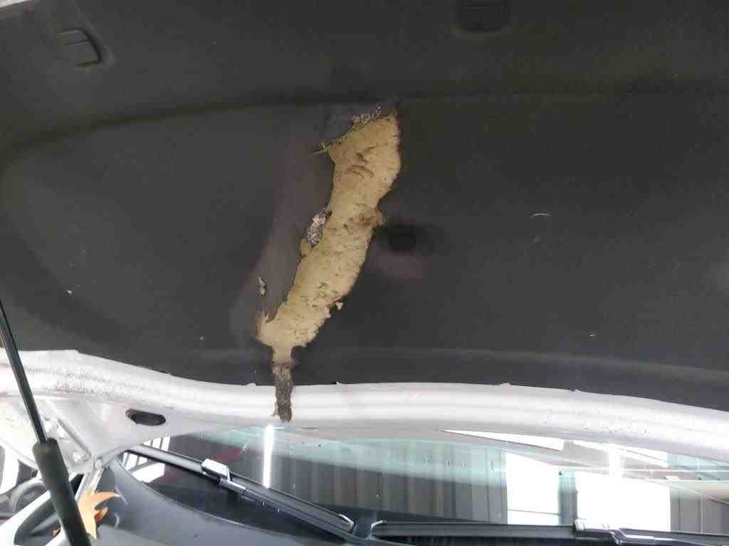 2021 Volkswagen Tiguan   AWD