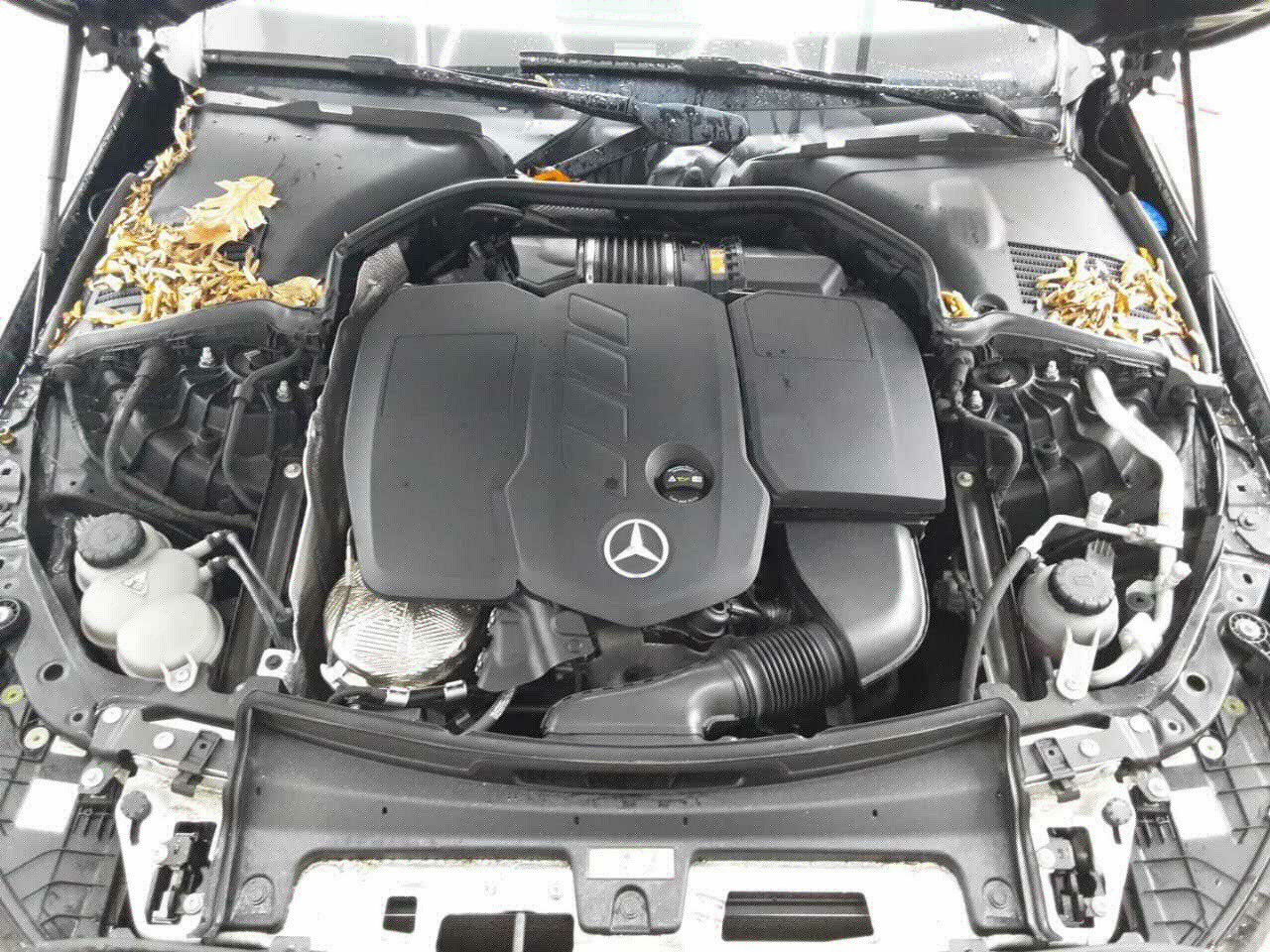 2021 Mercedes-Benz C   