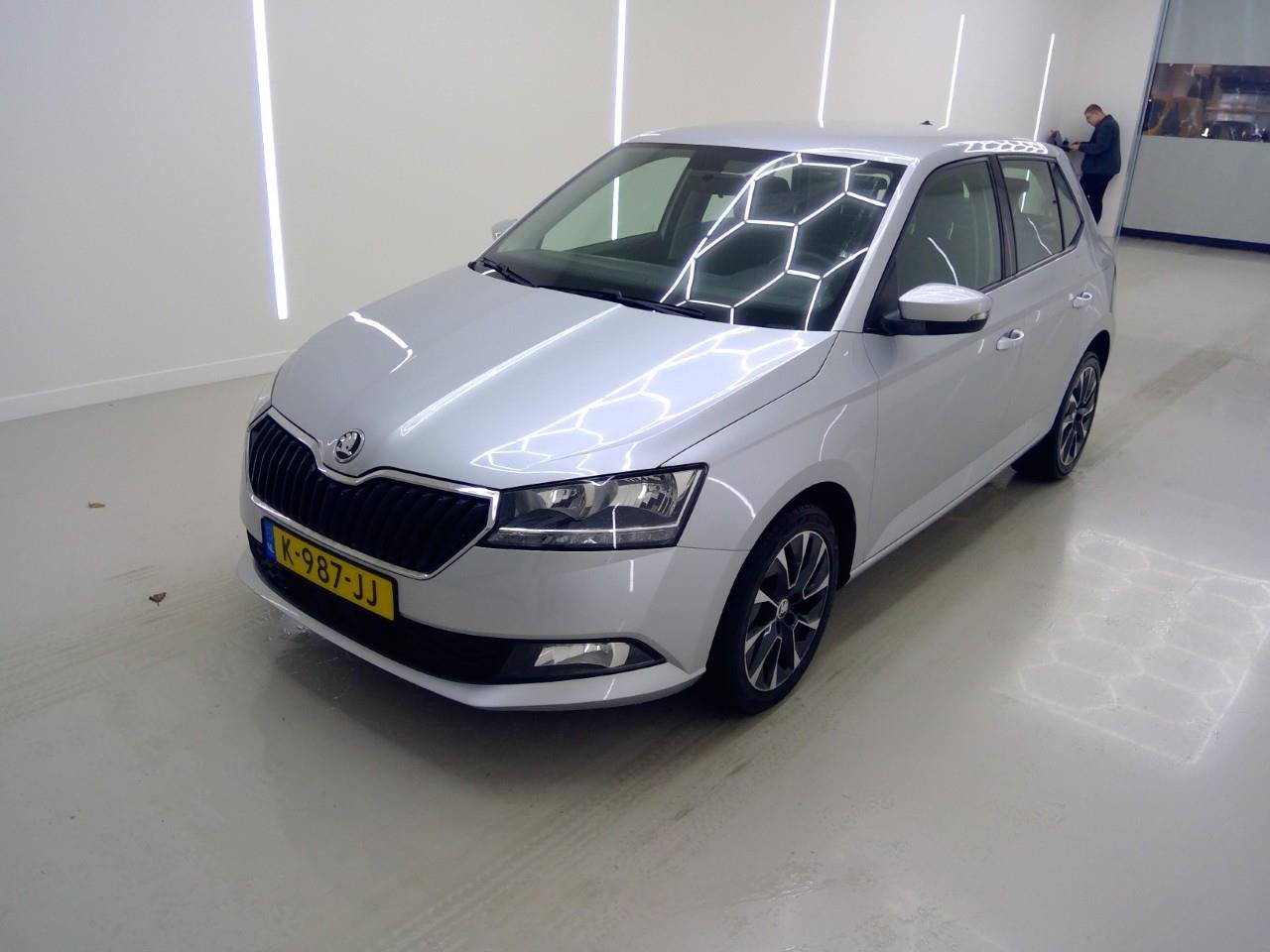 Skoda Fabia 1.0 TSI Business - Petrol - Manual - 95 hp - 114.240 km