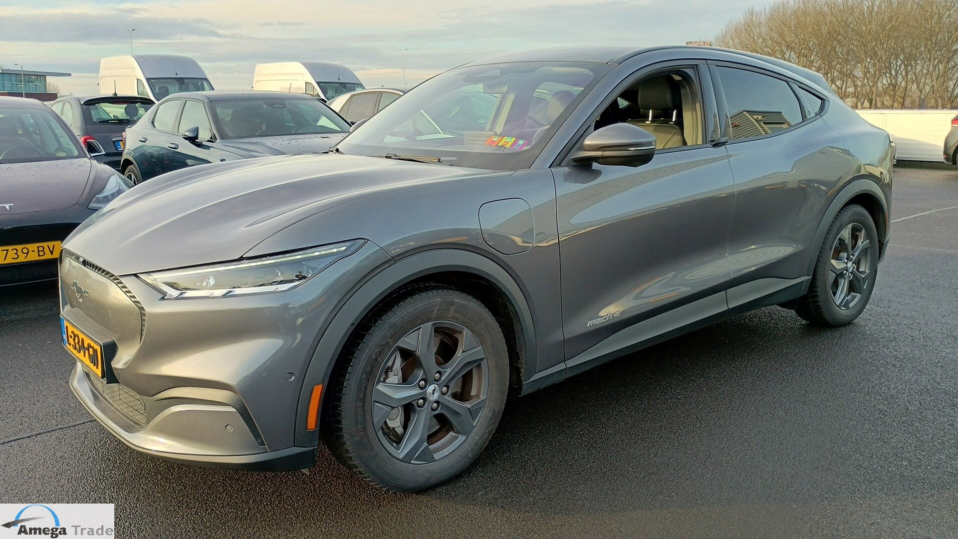 Ford Mustang Mach-E - Electric - Automatic - 258 hp - 126.205 km