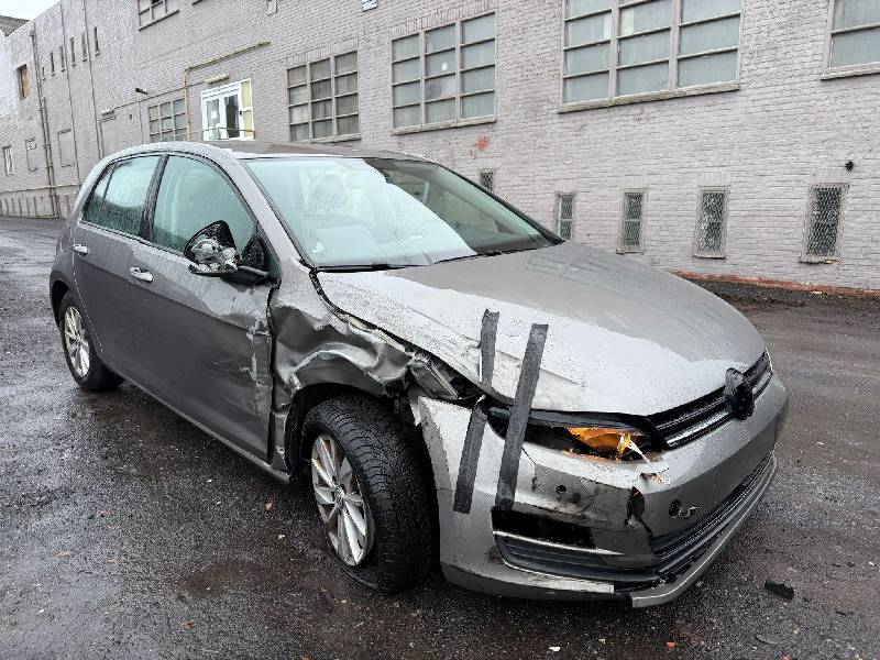 Volkswagen Golf 1.6 TDI Trendline - Diesel - Manual - 105 hp - 202.556 km Trendline