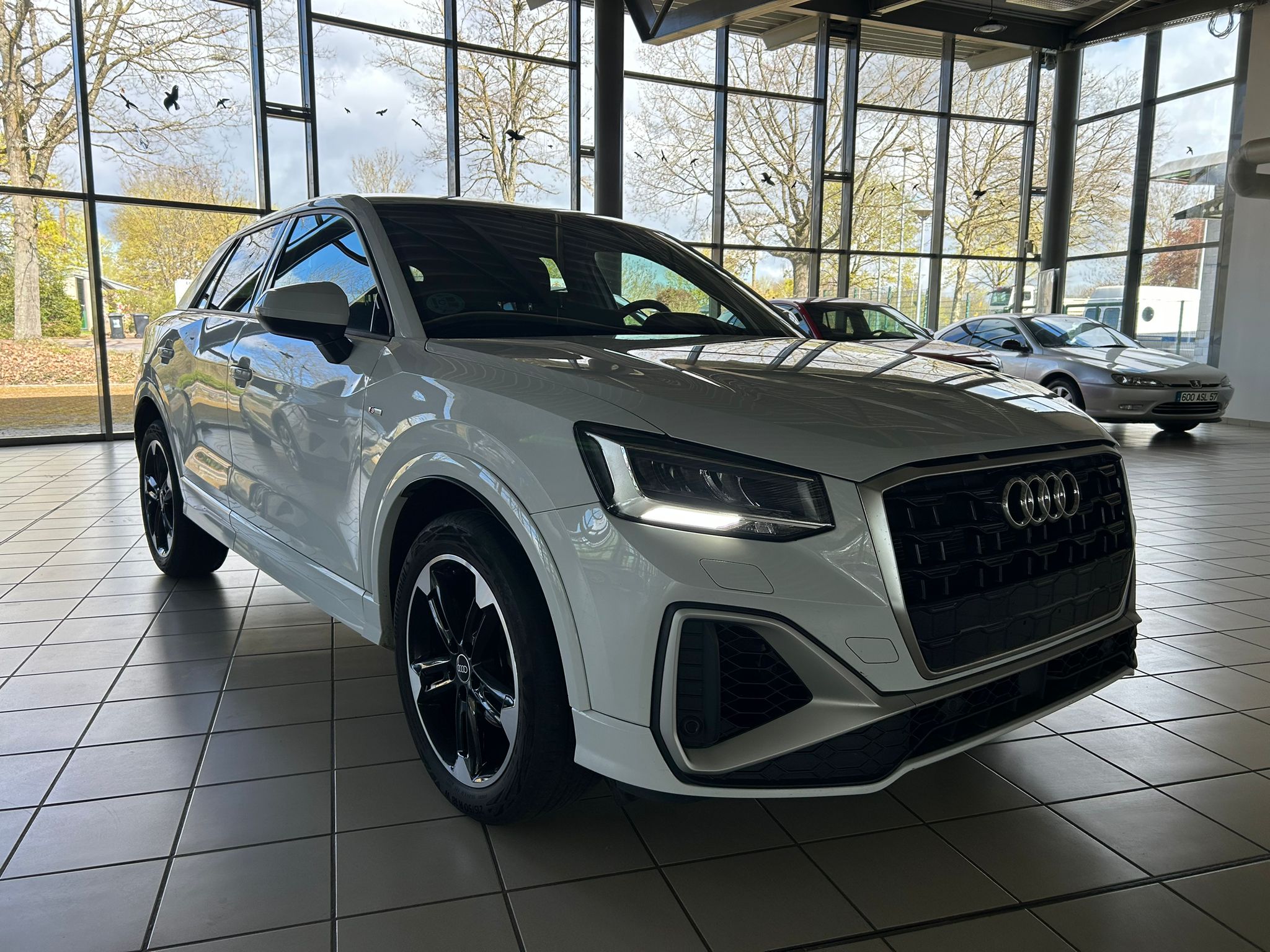 Audi Q2 30 TFSI S Line - Petrol - Manual - 110 hp - 27.846 km S Line