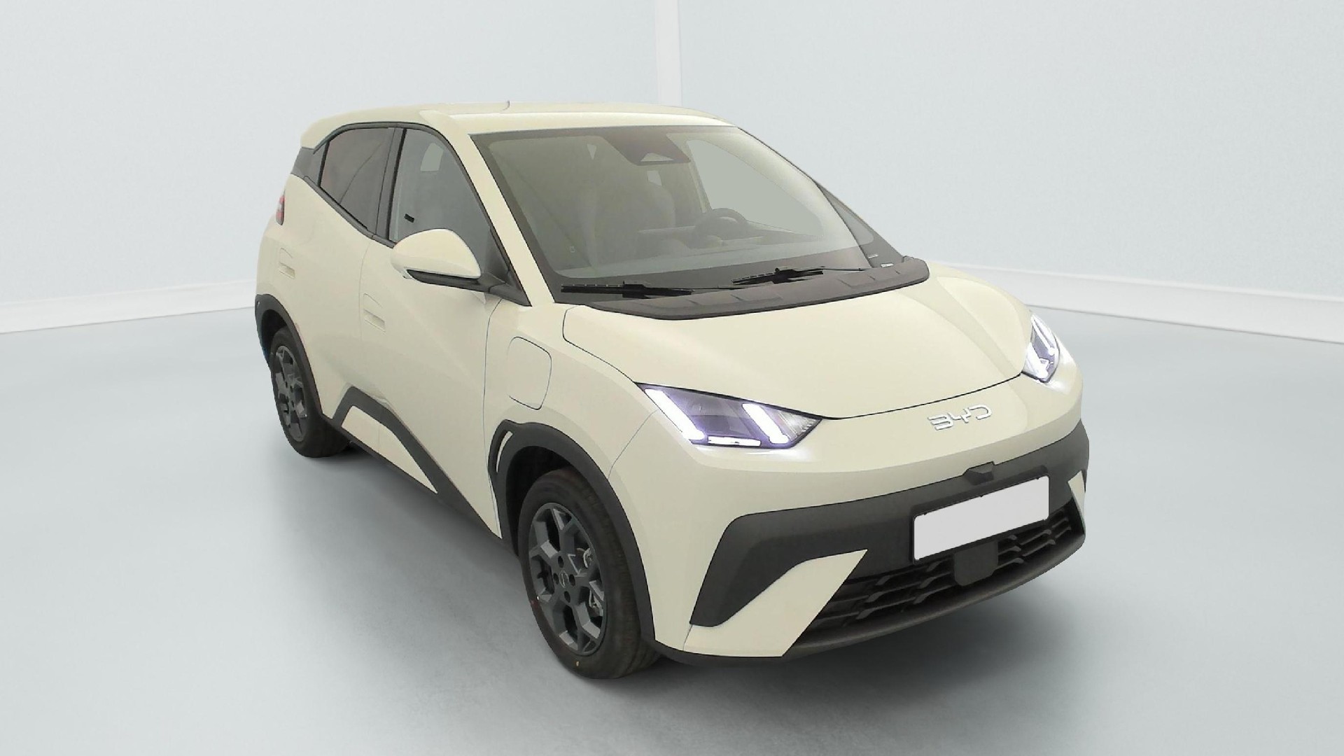 BYD Dolphin Comfort 2025
