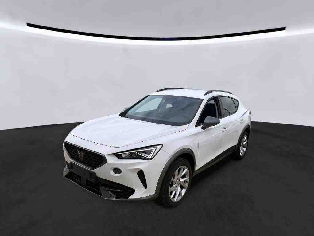 Cupra Formentor 1.5 TSI - Petrol - Automatic - 149 hp - 22.658 km