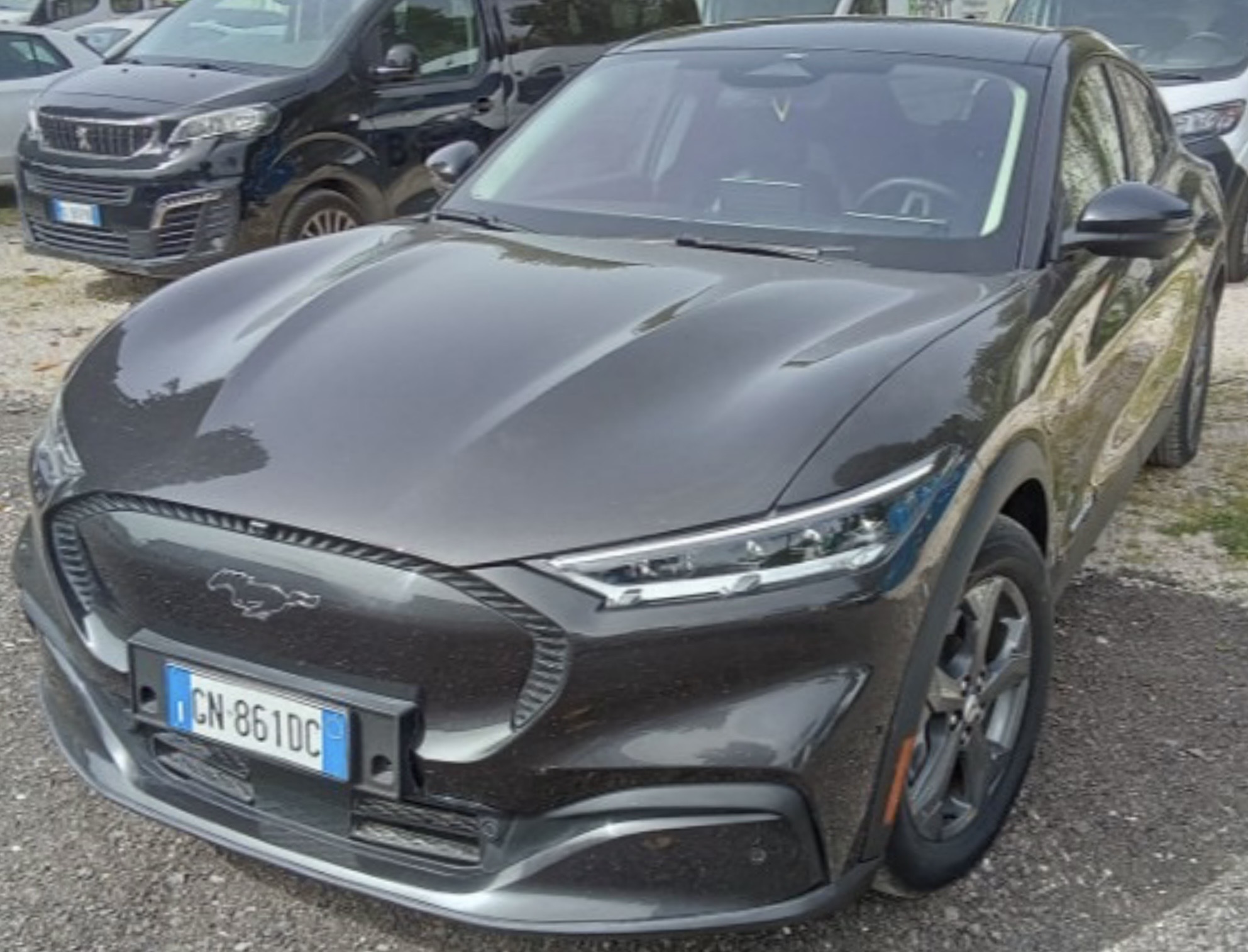 Ford Mustang Mach-E 99 kWh  Premium - Electric - Automatic - 294 hp - 98.054 km Premium