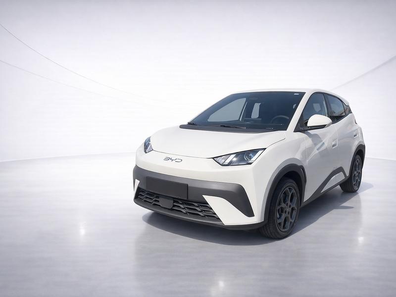 BYD Dolphin Boost 2025