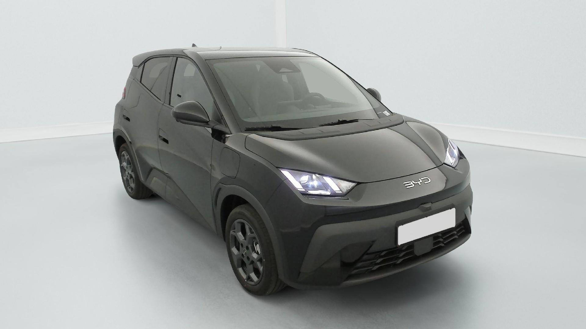 BYD Dolphin Comfort 2025