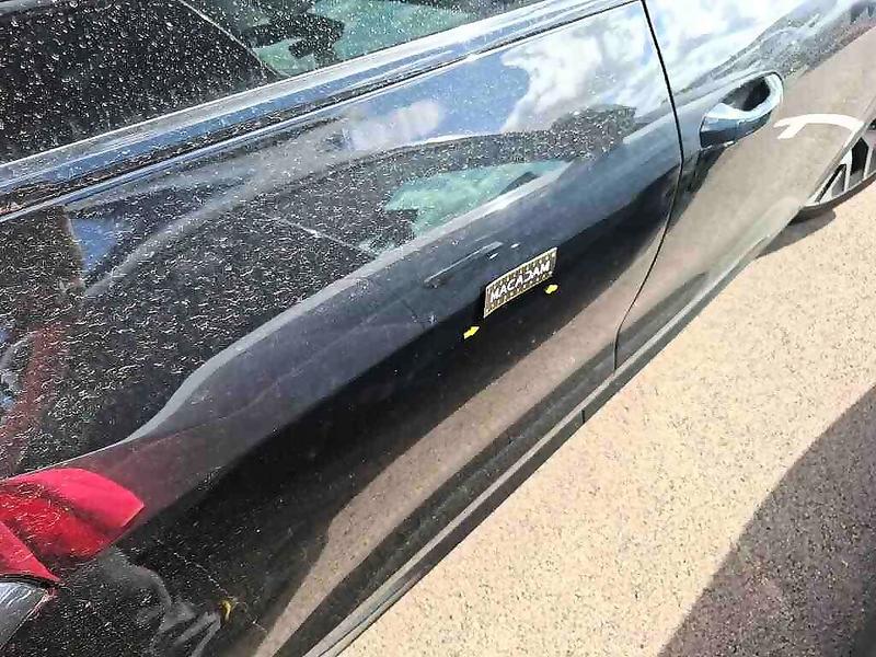 Foto 10 van Audi Q8
