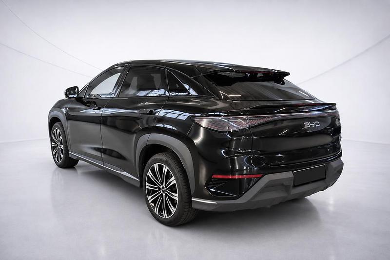 Foto 5 van BYD Sealion