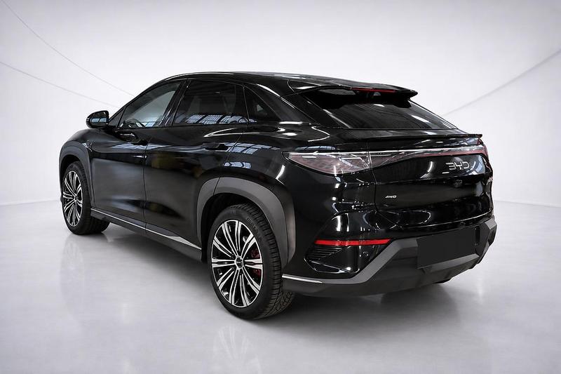 Foto 5 van BYD Sealion