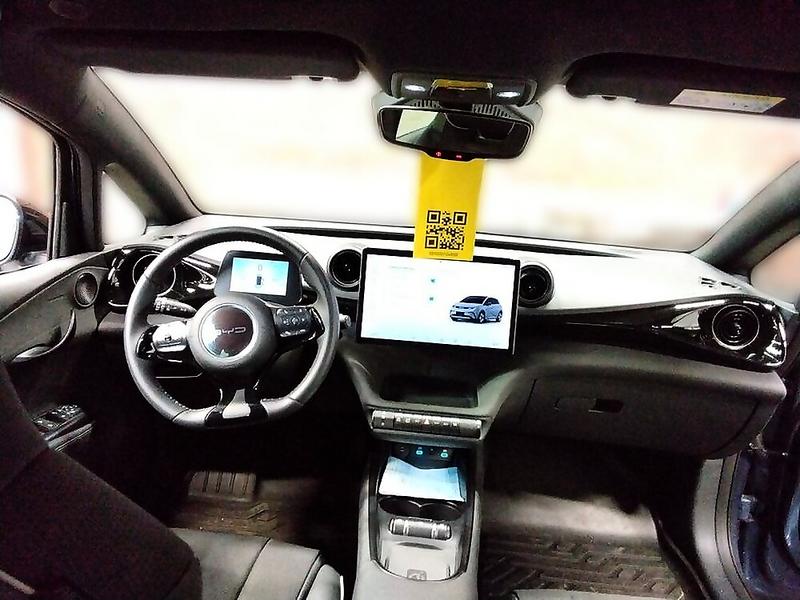 Foto 6 van BYD Dolphin