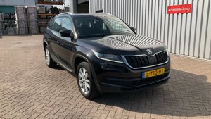 Skoda Kodiaq 1.5 TSI Business - Petrol - Automatic - 150 hp - 244.662 km