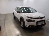 C4 Cactus