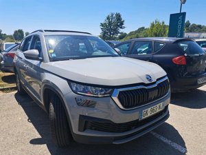 Skoda Kodiaq 2.0 TDI Business - Diesel - Automatic - 150 hp - 170.782 km