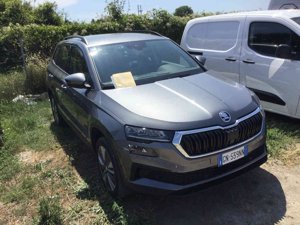 Skoda Karoq 2.0 TDI Executive - Diesel - Automatic - 116 hp - 88.295 km
